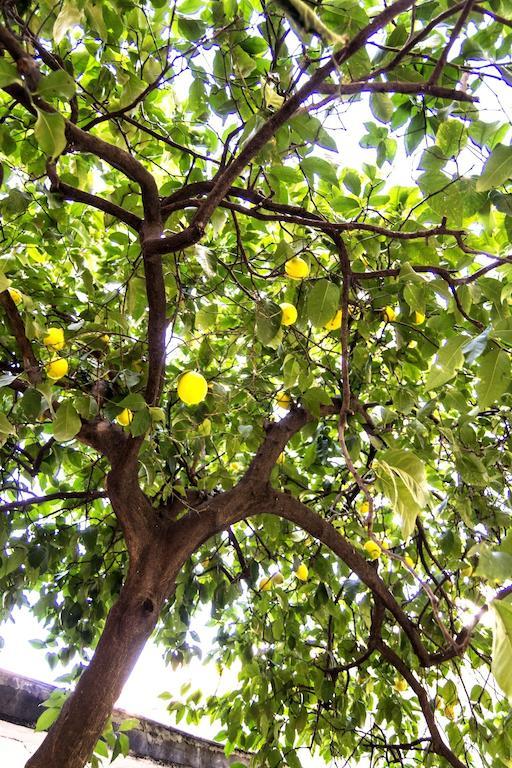 Vila Il Limone A San Pietro Řím Pokoj fotografie